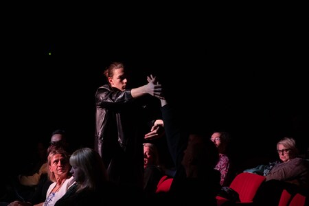 Baletno društvo Postojna