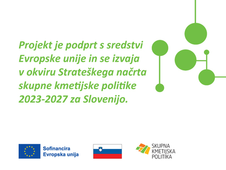 Pohajkovanje 