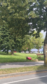 Smetnjak