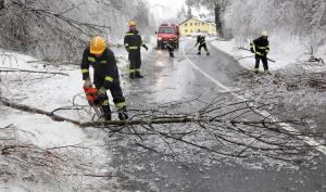 Delo_Foto-20140131135958-28324000