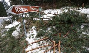 Delo_Foto-20140211152932-43061800